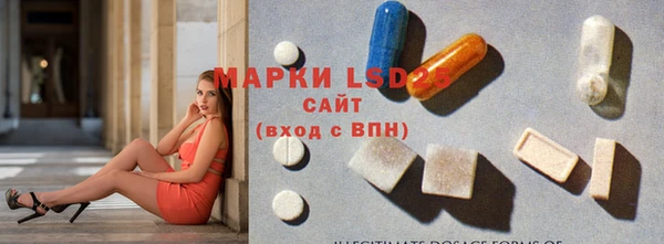 ECSTASY Абаза