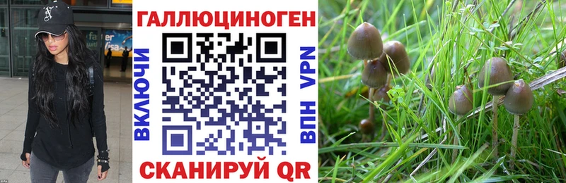 Псилоцибиновые грибы Magic Shrooms  Юрюзань 